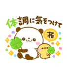 ころころパンダ♡カラフル可愛い（個別スタンプ：24）