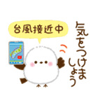 【梅雨から夏】ふっくら♡シマエナガさん（個別スタンプ：17）