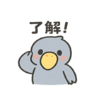 【毎日使える】かわいいハシビロコウちゃん（個別スタンプ：1）