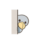 【毎日使える】かわいいハシビロコウちゃん（個別スタンプ：10）