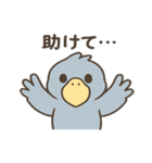 【毎日使える】かわいいハシビロコウちゃん（個別スタンプ：24）