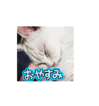 山メロ パート1（個別スタンプ：1）