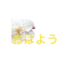 文字の大きいお花の挨拶スタンプ（個別スタンプ：2）