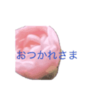 文字の大きいお花の挨拶スタンプ（個別スタンプ：5）