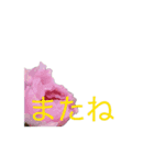 文字の大きいお花の挨拶スタンプ（個別スタンプ：7）