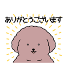 (自称)中年太りのトイプードル5（個別スタンプ：1）