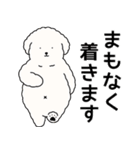 (自称)中年太りのトイプードル5（個別スタンプ：7）
