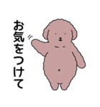 (自称)中年太りのトイプードル5（個別スタンプ：8）