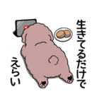 (自称)中年太りのトイプードル5（個別スタンプ：13）