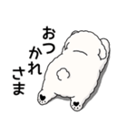 (自称)中年太りのトイプードル5（個別スタンプ：14）