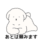 (自称)中年太りのトイプードル5（個別スタンプ：19）