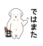 (自称)中年太りのトイプードル5（個別スタンプ：22）