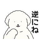(自称)中年太りのトイプードル5（個別スタンプ：30）