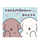 (自称)中年太りのトイプードル5（個別スタンプ：38）