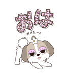 『シーズー』ハピチャラ☆1（個別スタンプ：4）