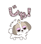 『シーズー』ハピチャラ☆1（個別スタンプ：5）