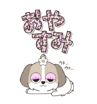 『シーズー』ハピチャラ☆1（個別スタンプ：6）