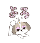 『シーズー』ハピチャラ☆1（個別スタンプ：11）