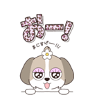 『シーズー』ハピチャラ☆1（個別スタンプ：12）