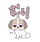 『シーズー』ハピチャラ☆1（個別スタンプ：16）
