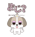 『シーズー』ハピチャラ☆1（個別スタンプ：18）