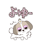『シーズー』ハピチャラ☆1（個別スタンプ：21）