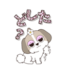『シーズー』ハピチャラ☆1（個別スタンプ：23）