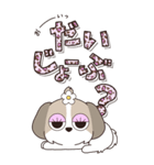 『シーズー』ハピチャラ☆1（個別スタンプ：24）