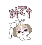 『シーズー』ハピチャラ☆1（個別スタンプ：25）