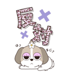 『シーズー』ハピチャラ☆1（個別スタンプ：31）