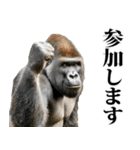 釣り☆ゴリラ（個別スタンプ：10）