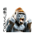 釣り☆ゴリラ（個別スタンプ：32）