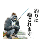 釣り☆ゴリラ（個別スタンプ：37）