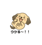 ちぃむにちゃま！（個別スタンプ：1）