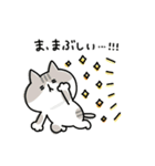 ゆるゆるニャンコの気ままライフ（個別スタンプ：34）