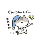 ゆるゆるニャンコの気ままライフ（個別スタンプ：40）