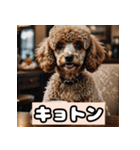 茶プードルのきもち（個別スタンプ：8）