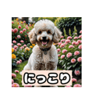 茶プードルのきもち（個別スタンプ：9）
