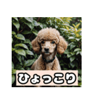 茶プードルのきもち（個別スタンプ：28）