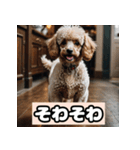 茶プードルのきもち（個別スタンプ：30）