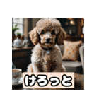 茶プードルのきもち（個別スタンプ：34）