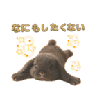 しろいうさぎとくろいうさぎPart4（個別スタンプ：6）