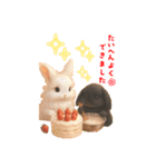 しろいうさぎとくろいうさぎPart4（個別スタンプ：12）