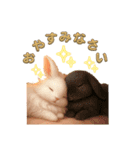 しろいうさぎとくろいうさぎPart4（個別スタンプ：14）