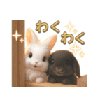 しろいうさぎとくろいうさぎPart4（個別スタンプ：15）
