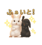 しろいうさぎとくろいうさぎPart4（個別スタンプ：16）