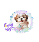 かわいいシーズーの犬スタンプ（個別スタンプ：4）