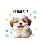 かわいいシーズーの犬スタンプ（個別スタンプ：11）