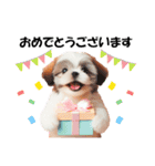 かわいいシーズーの犬スタンプ（個別スタンプ：16）