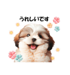 かわいいシーズーの犬スタンプ（個別スタンプ：20）